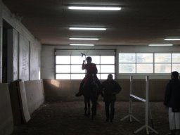 IMG_8340